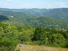 cevennes