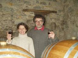 costeplane vin bio biodynamie vignoble 