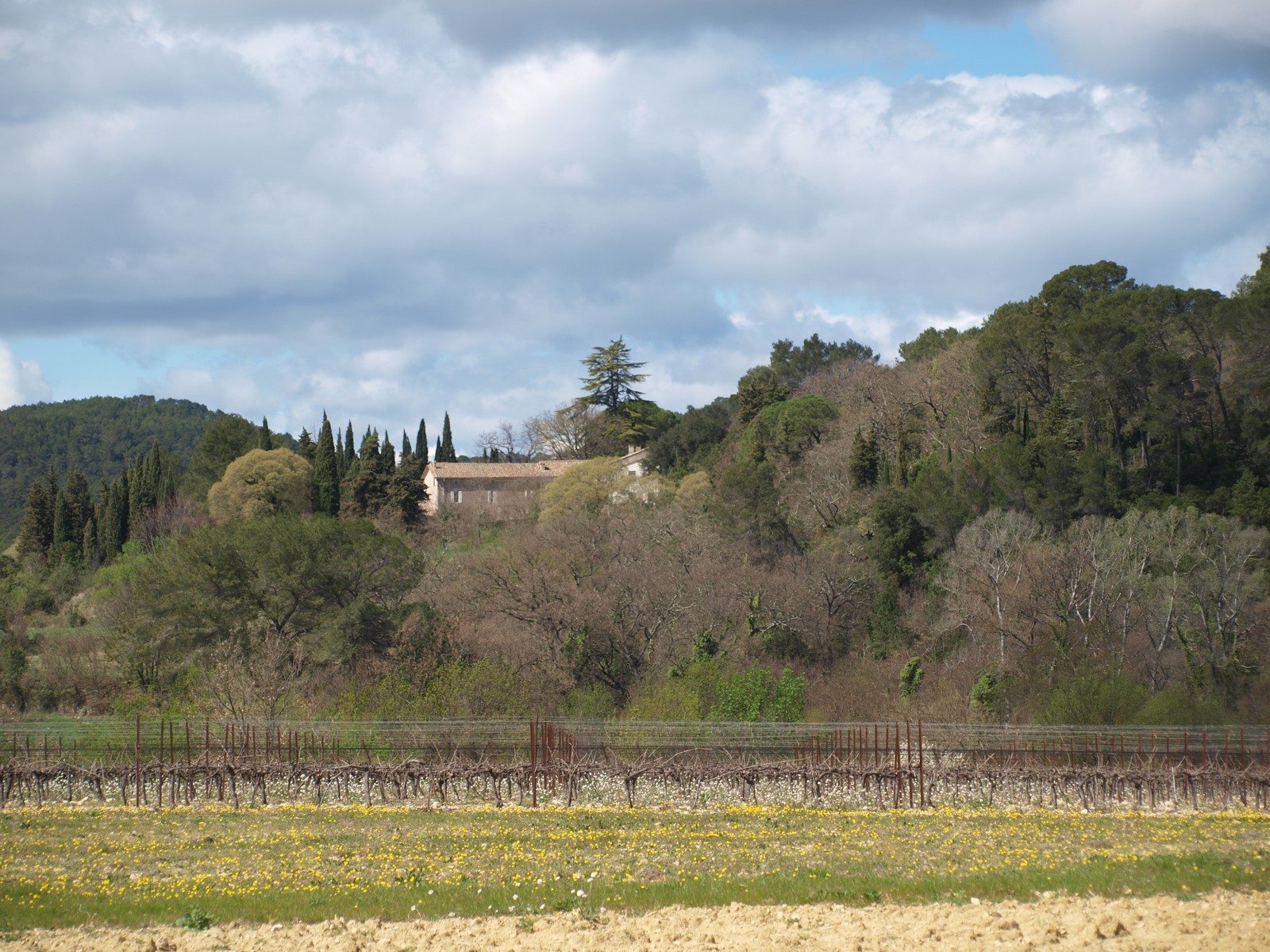 provencal farm house vineyard cevennes anduze sommieres uzes pool holiday letting