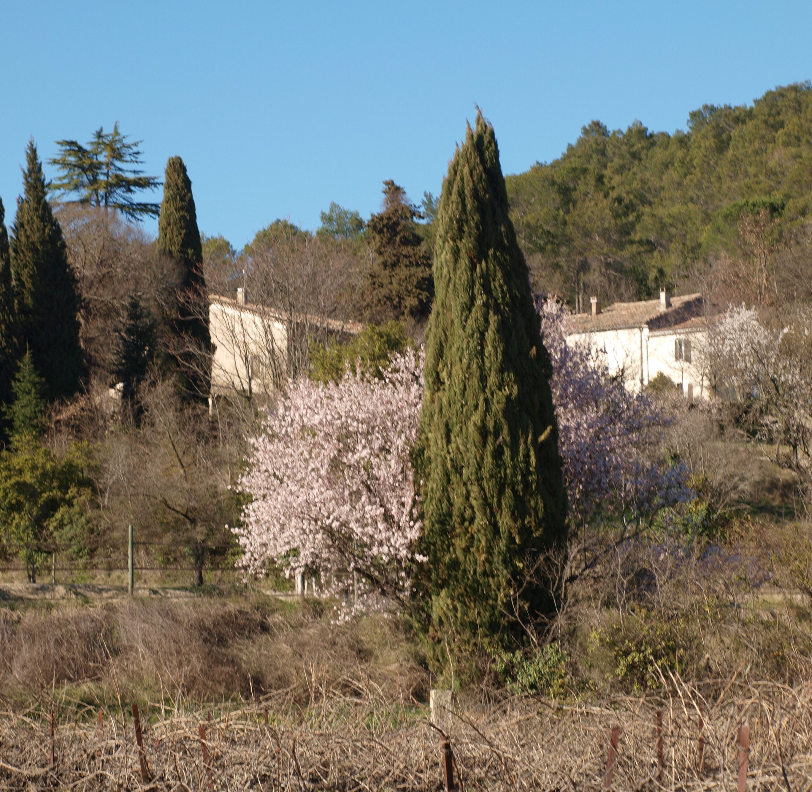 gard gite hiver mars sommieres quissac cevennes